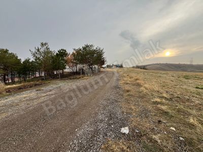 BAĞLUM MERKEZ'DE 50 METRELİK YOLA CEPHE 2 DAİRE GETİRİSİ OLAN YÜKSEK KAT SİTE ARSASI — fotoğraf 5
